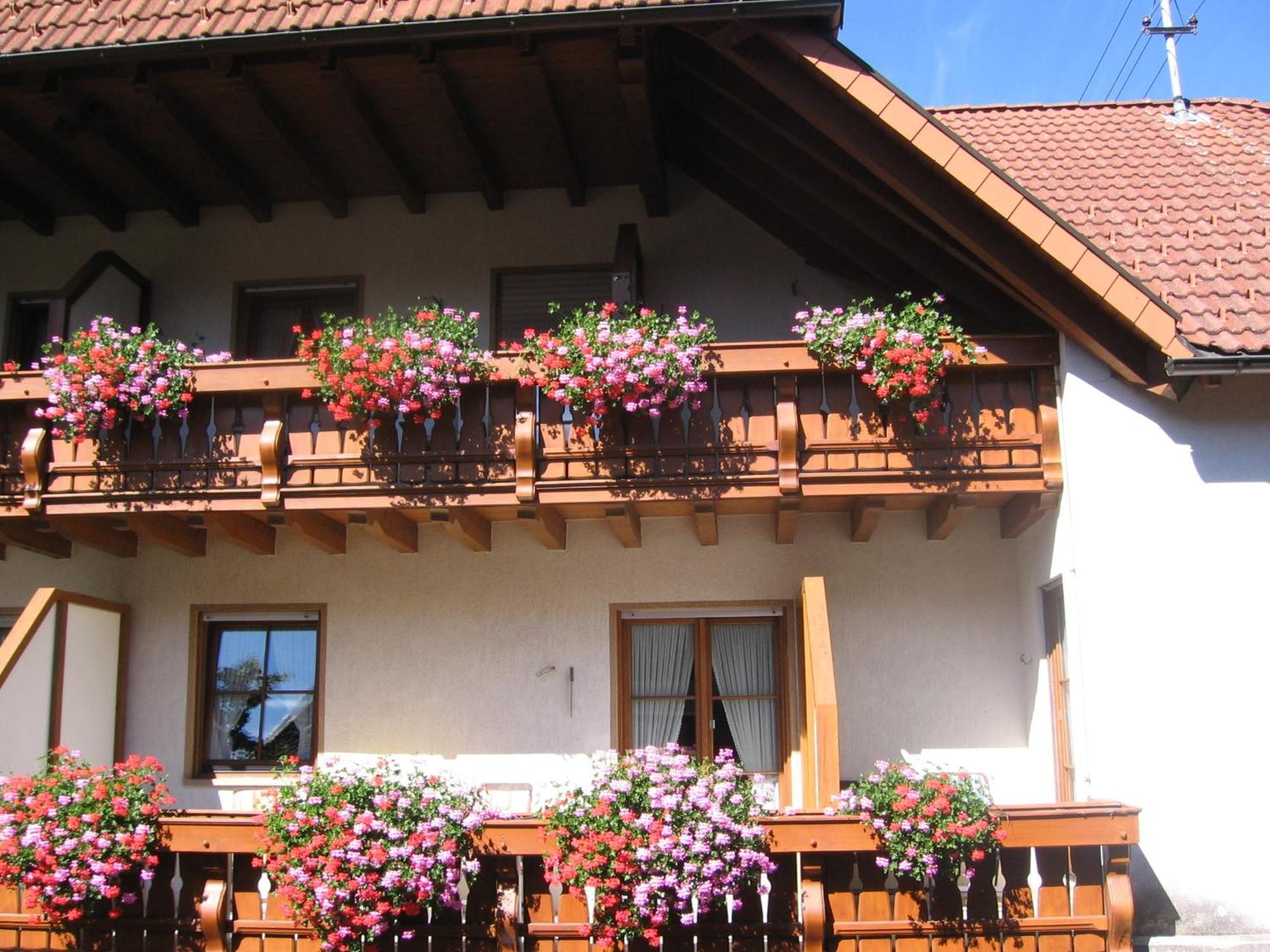 Hotel Gasthaus Zum Hirschen Simonswald Luaran gambar
